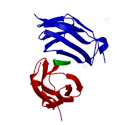 Image of CATH 2w0p
