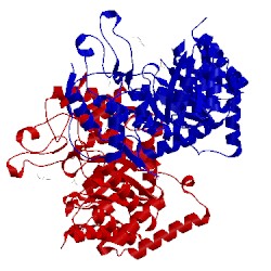 Image of CATH 2w19