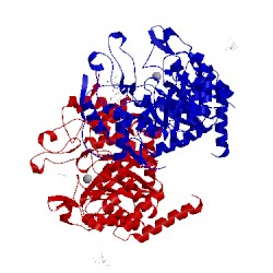 Image of CATH 2w1a