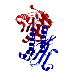 Image of CATH 2w3d