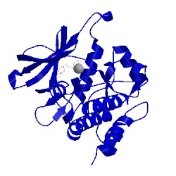 Image of CATH 2w4j