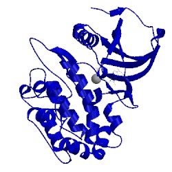 Image of CATH 2w4k