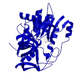 Image of CATH 2w4q