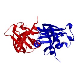 Image of CATH 2w5g