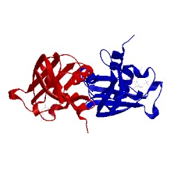 Image of CATH 2w5l
