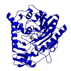 Image of CATH 2w5r