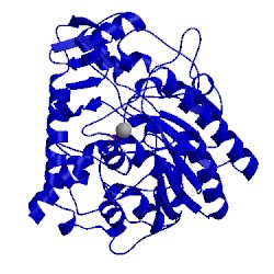 Image of CATH 2w5s