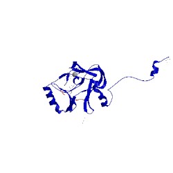Image of CATH 2w5z