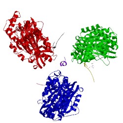 Image of CATH 2w6e