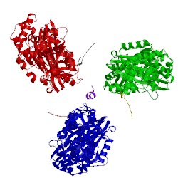 Image of CATH 2w6g