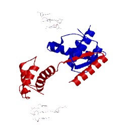 Image of CATH 2w7n