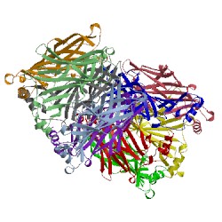 Image of CATH 2w8f