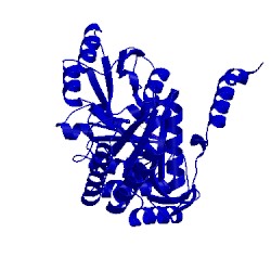 Image of CATH 2w8v