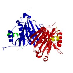 Image of CATH 2w97