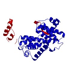 Image of CATH 2w9f