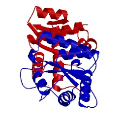 Image of CATH 2wal