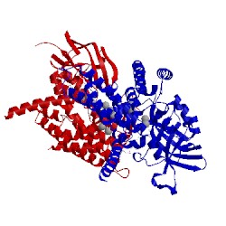 Image of CATH 2wbi