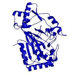 Image of CATH 2wbo