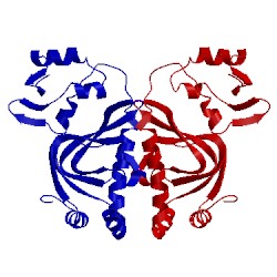 Image of CATH 2wc2