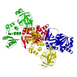 Image of CATH 2wct