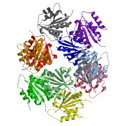 Image of CATH 2wcv