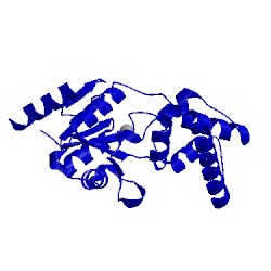 Image of CATH 2wfa