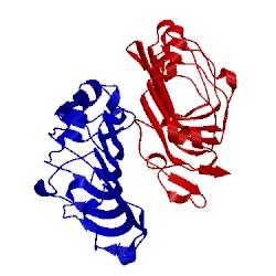 Image of CATH 2wfh