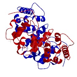 Image of CATH 2wfn
