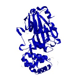 Image of CATH 2wfp