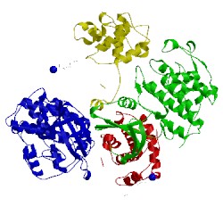 Image of CATH 2wfy
