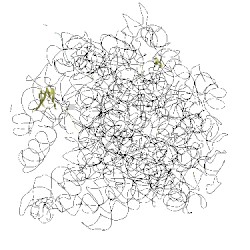 Image of CATH 2wh2