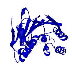 Image of CATH 2wi6