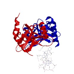 Image of CATH 2wiw