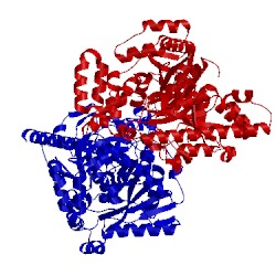 Image of CATH 2wj1