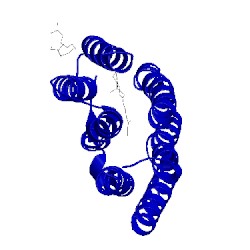 Image of CATH 2wjk