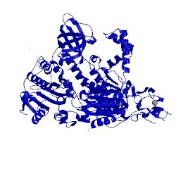 Image of CATH 2wjy