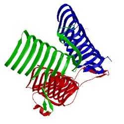 Image of CATH 2wle