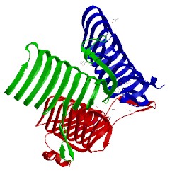 Image of CATH 2wlg