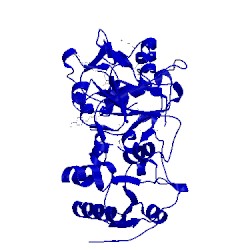 Image of CATH 2wlr