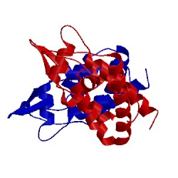 Image of CATH 2wlv