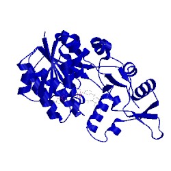 Image of CATH 2wmd