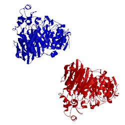 Image of CATH 2wmi