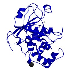 Image of CATH 2wml