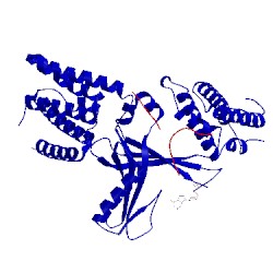 Image of CATH 2wmn