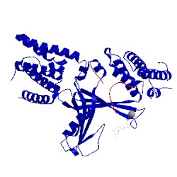 Image of CATH 2wmo