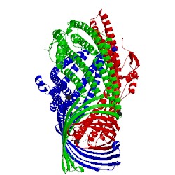 Image of CATH 2wmz