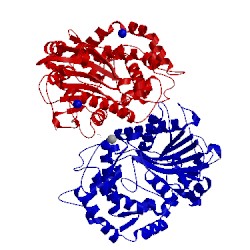 Image of CATH 2wnh