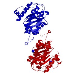 Image of CATH 2wnt