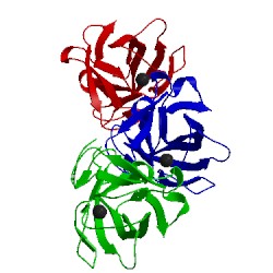 Image of CATH 2wob