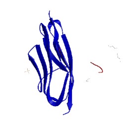 Image of CATH 2wp3